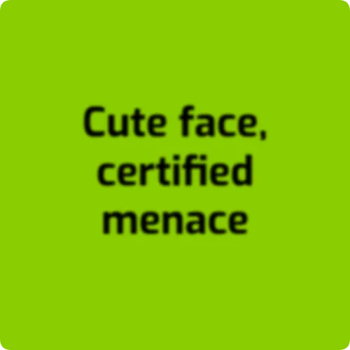 Brat Text Generator 15